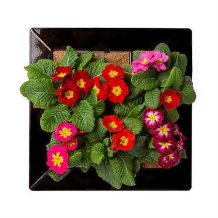 Ultimate Innovations Ultimate Innovations 6042 Vertical Garden; Bronze 6042